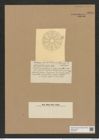 Actinoptychus crosus Castr. (de-Toni-Nr.: Genus 227, Species 5556) Zeichnungen Sammlung Grunow Nr. 9584 (NHMW-BOT-W0379400)